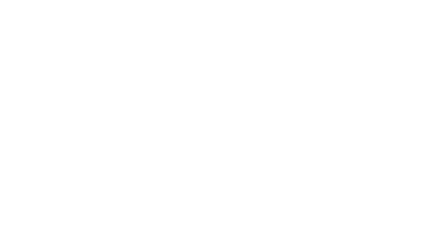 wirsol